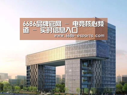 案例展示四