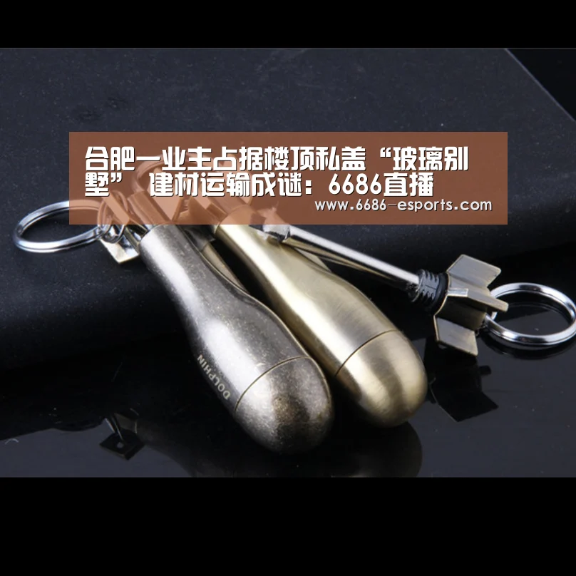 合肥一业主占据楼顶私盖“玻璃别墅” 建材运输成谜:6686直播(图2) 6686游戏