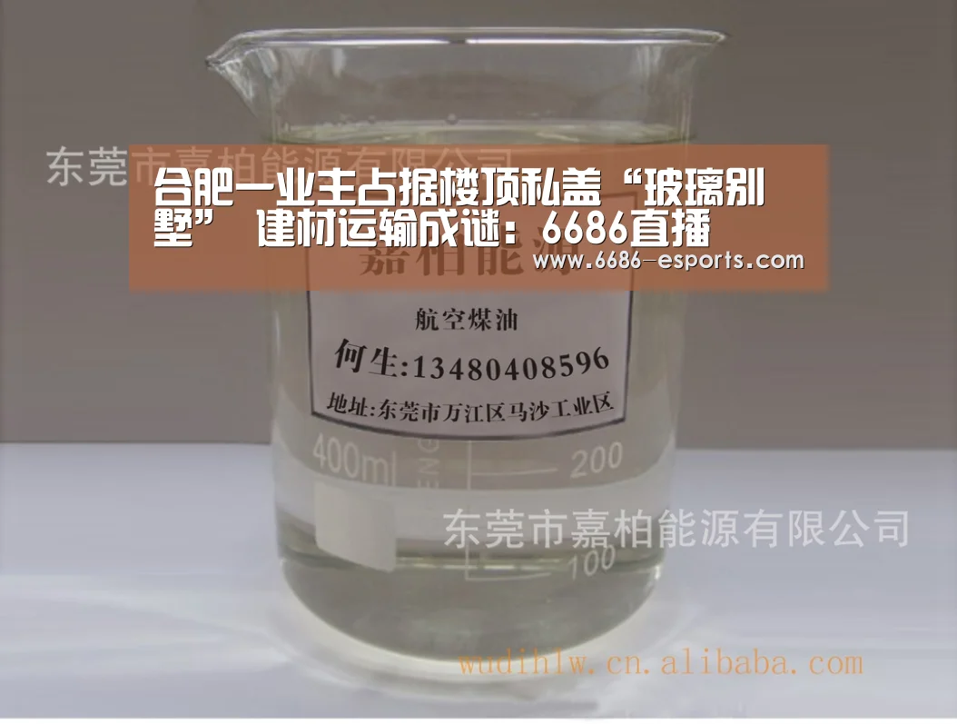 合肥一业主占据楼顶私盖“玻璃别墅” 建材运输成谜:6686直播(图3) 6686游戏