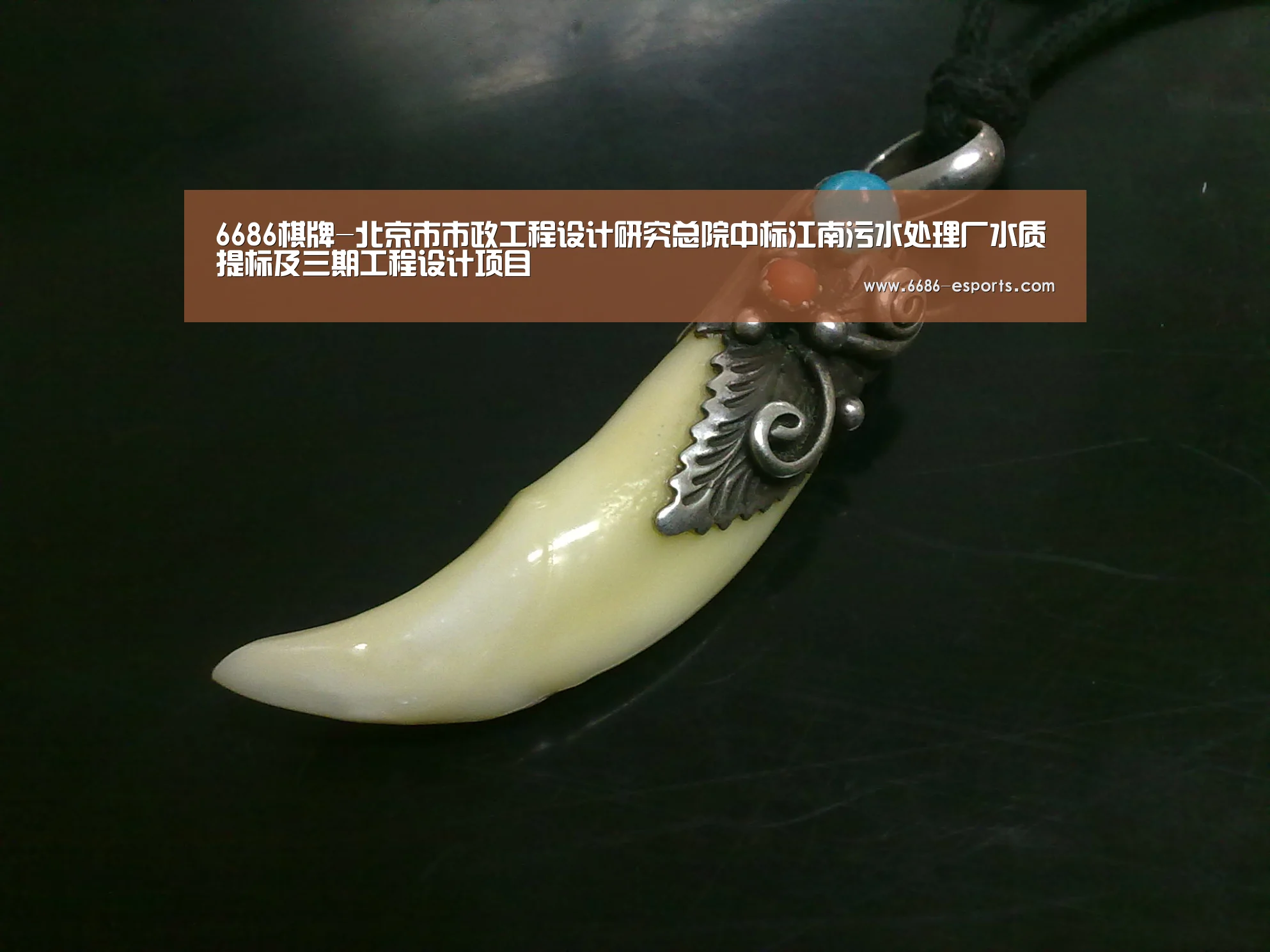 6686游戏