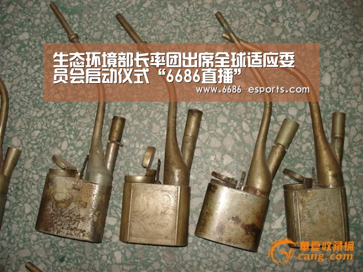 生态环境部长率团出席全球适应委员会启动仪式“6686直播”(图3) 6686热点