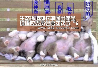 生态环境部长率团出席全球适应委员会启动仪式“6686直播”(图4) 6686棋牌