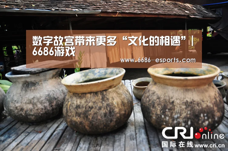 数字故宫带来更多“文化的相遇”|6686游戏(图4) 6686棋牌