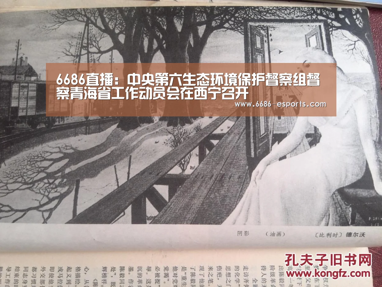 6686直播:中央第六生态环境保护督察组督察青海省工作动员会在西宁召开(图2) 6686棋牌
