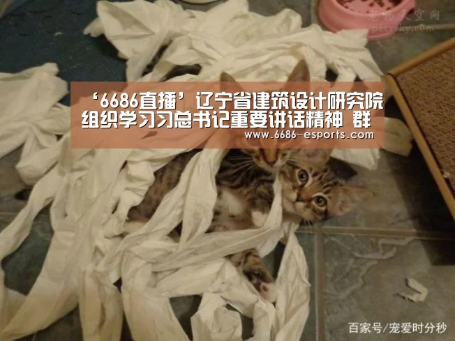 ‘6686直播’辽宁省建筑设计研究院组织学习习总书记重要讲话精神 群策群力推进设计院发展(图3) 6686热点