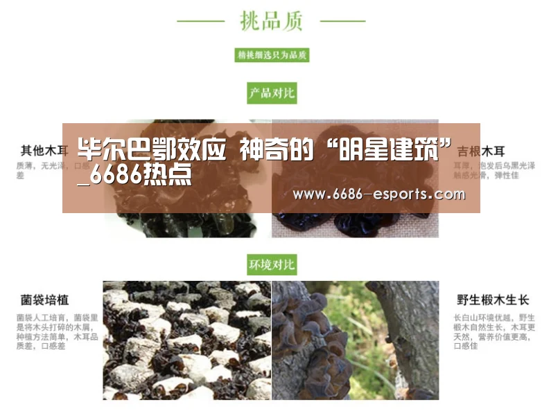 毕尔巴鄂效应 神奇的“明星建筑”_6686热点(图2) 6686热点