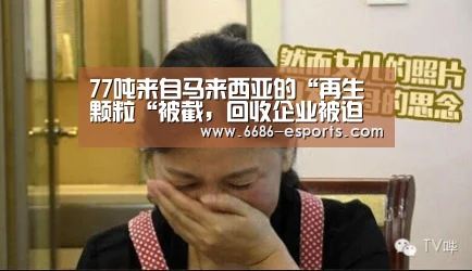 77吨来自马来西亚的“再生颗粒“被截,回收企业被迫转迁国外|6686直播(图1) 6686棋牌