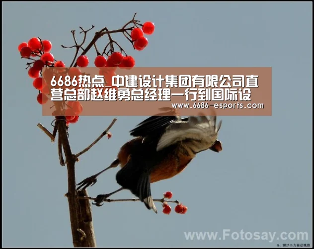 6686热点_中建设计集团有限公司直营总部赵维勇总经理一行到国际设计中心调研(图2) 6686直播