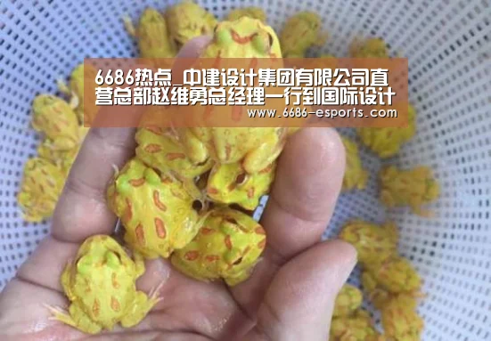 6686热点_中建设计集团有限公司直营总部赵维勇总经理一行到国际设计中心调研(图1) 6686游戏