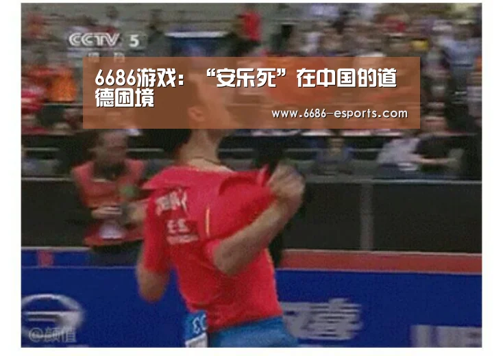 6686游戏