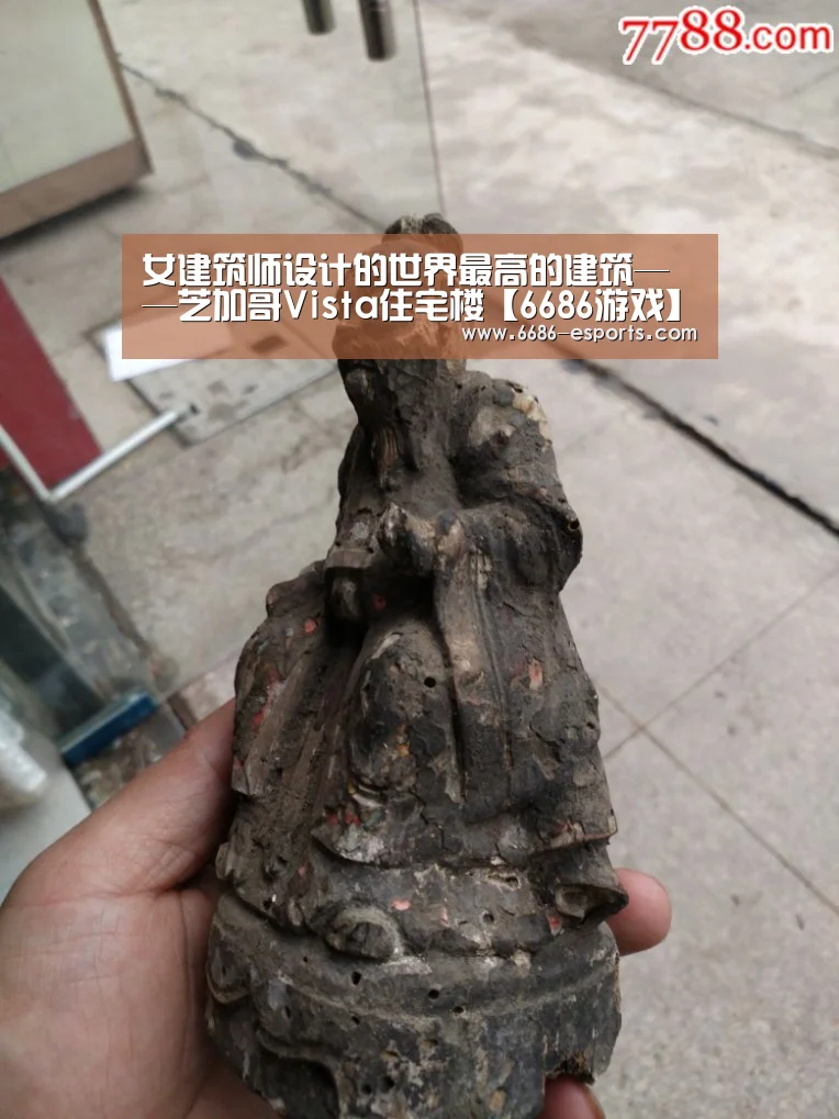 6686直播