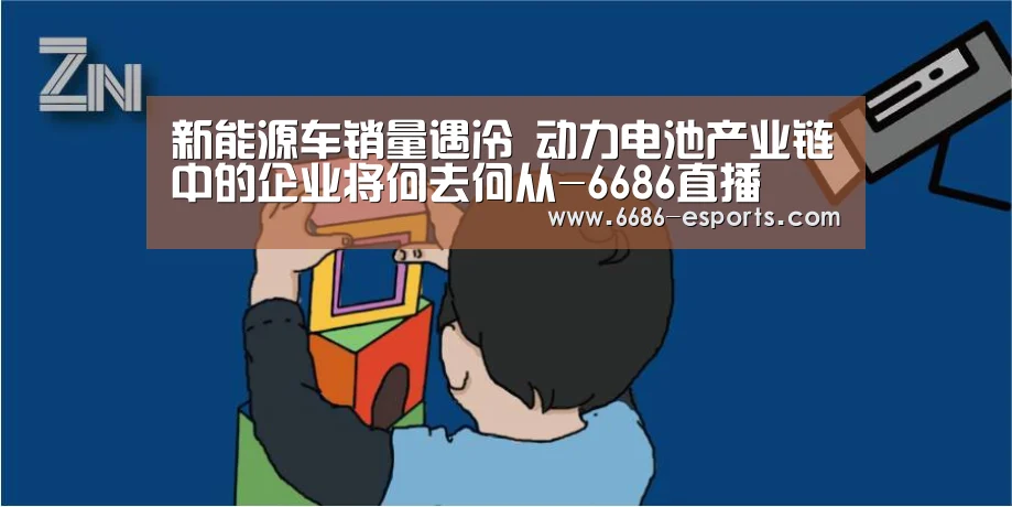 6686游戏