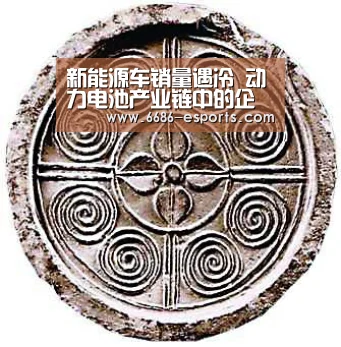 6686直播